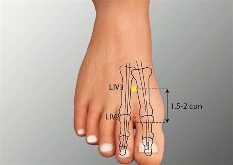 lv 2 acupuncture point|lv 2 chinese medicine.